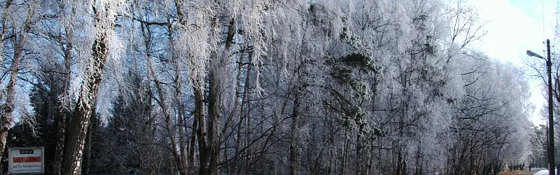 Łeba zimowy krajobraz